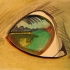 07_Pond-Eye thumbnail